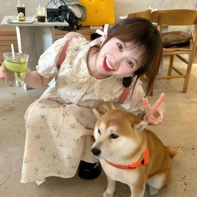 岗上花开